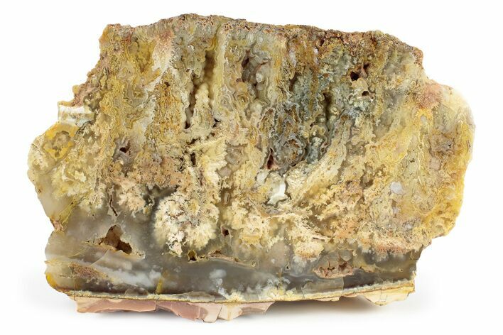 Graveyard Point Plume Agate Section - Oregon #239906